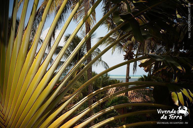 Pousada Vivenda Da Terra São Miguel do Gostoso Zewnętrze zdjęcie